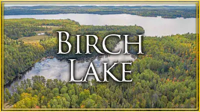 Birch Lake Listings
